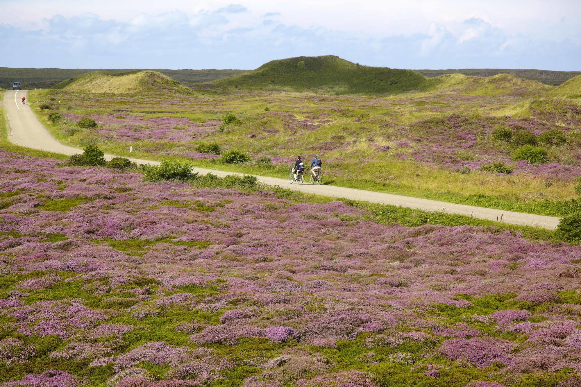 Hotel Molenbos Texel De Cocksdorp  Zewnętrze zdjęcie